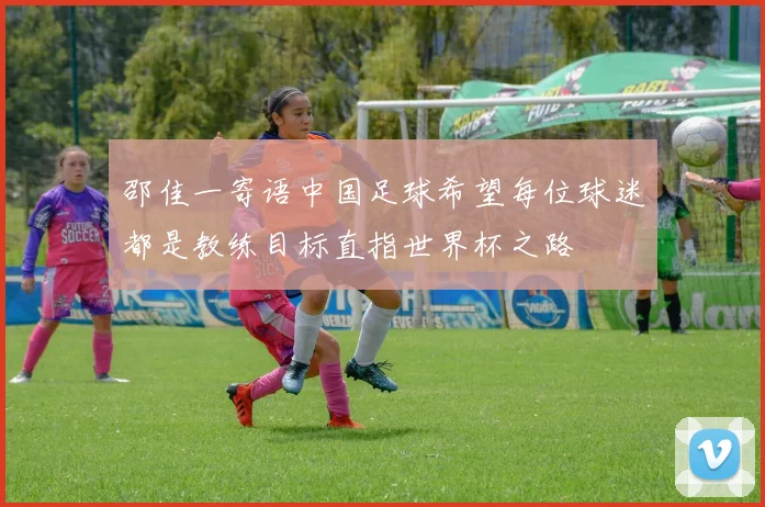 邵佳一寄语中国足球希望每位球迷都是教练目标直指世界杯之路
