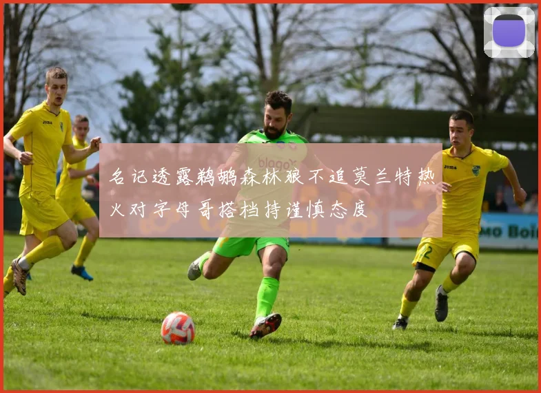 名记透露鹈鹕森林狼不追莫兰特热火对字母哥搭档持谨慎态度