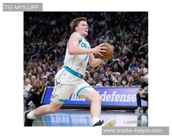 克尼佩尔已成为黄蜂队的新标志性球员引发广泛关注